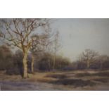 Tom Scott R.S.A (Scottish 1850-1934) "Edge of the Wood, The Haining Selkirk" Watercolour, signed and