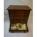 Victorian Butterfly Display, Enclosed in a Victorian mahogany collectors chest