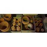 Quantity of Terracotta Plant Pots,