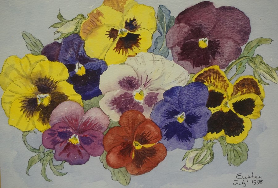 Euphen Alexander (Scottish 1917-2008) Four "Still Life Flower Studies" Watercolours, (4)