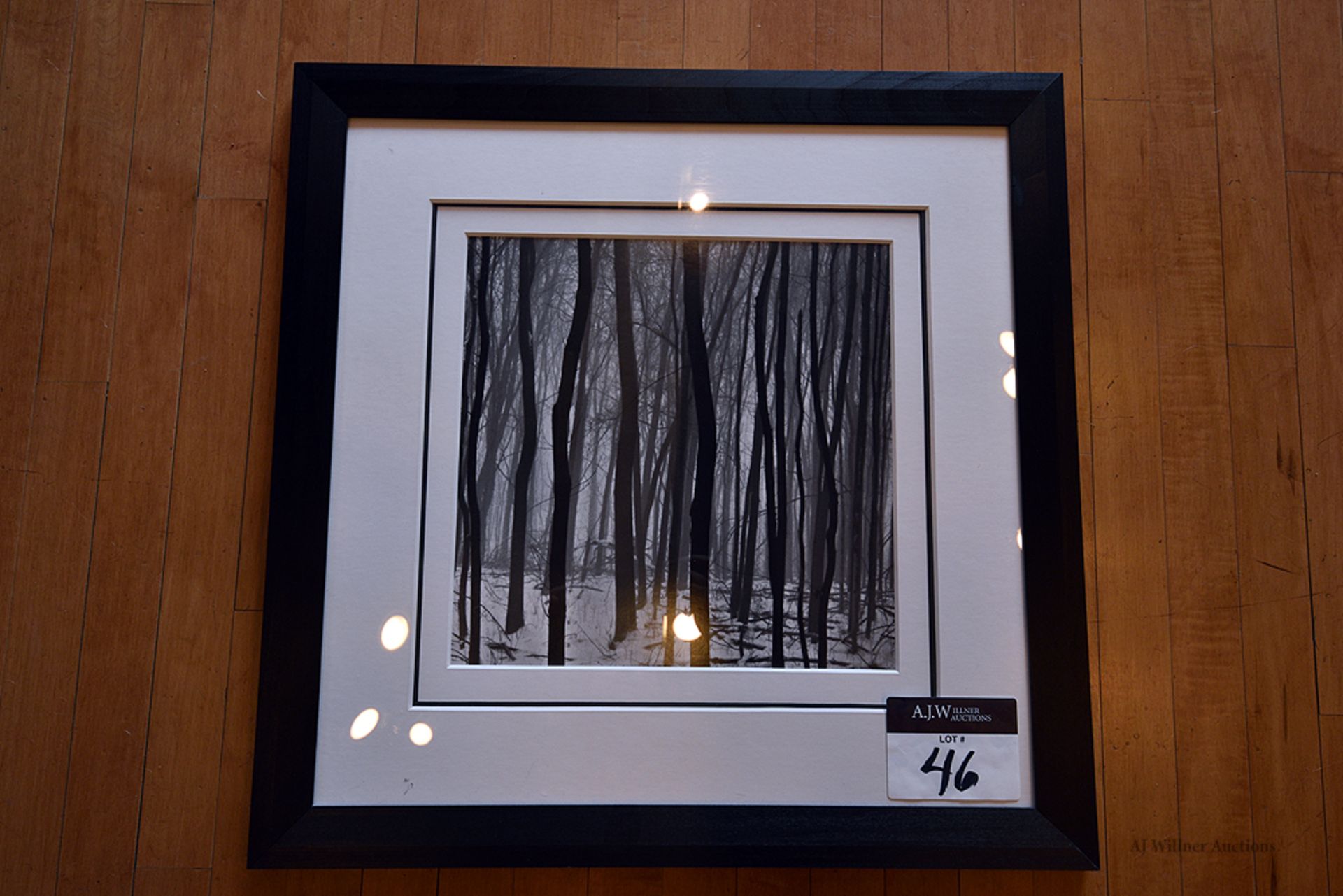 Forest Scene, Framed 25" x 25"
