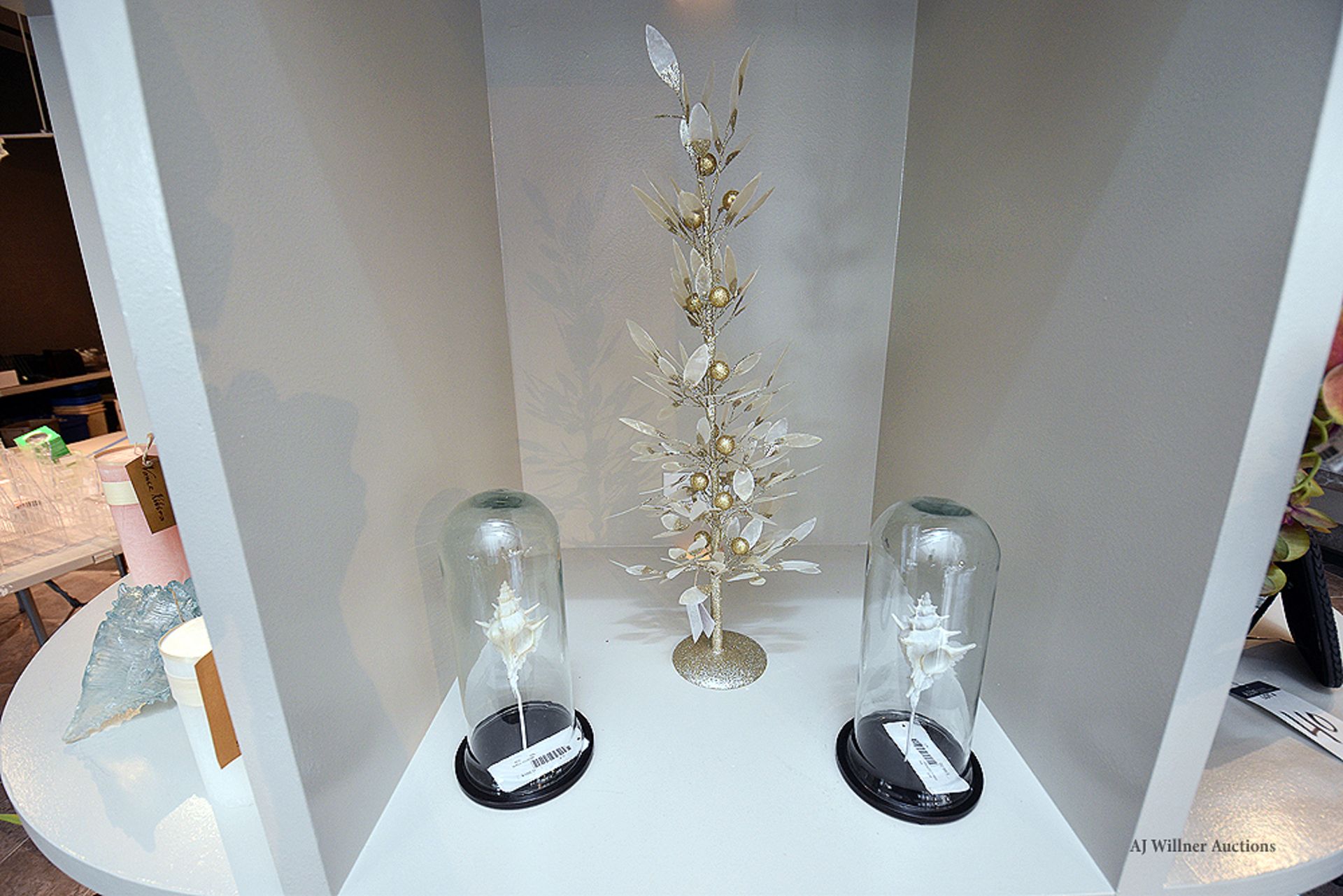 Shell Cloche in Specimen Jar, 10" & 26" & Decorative Tree