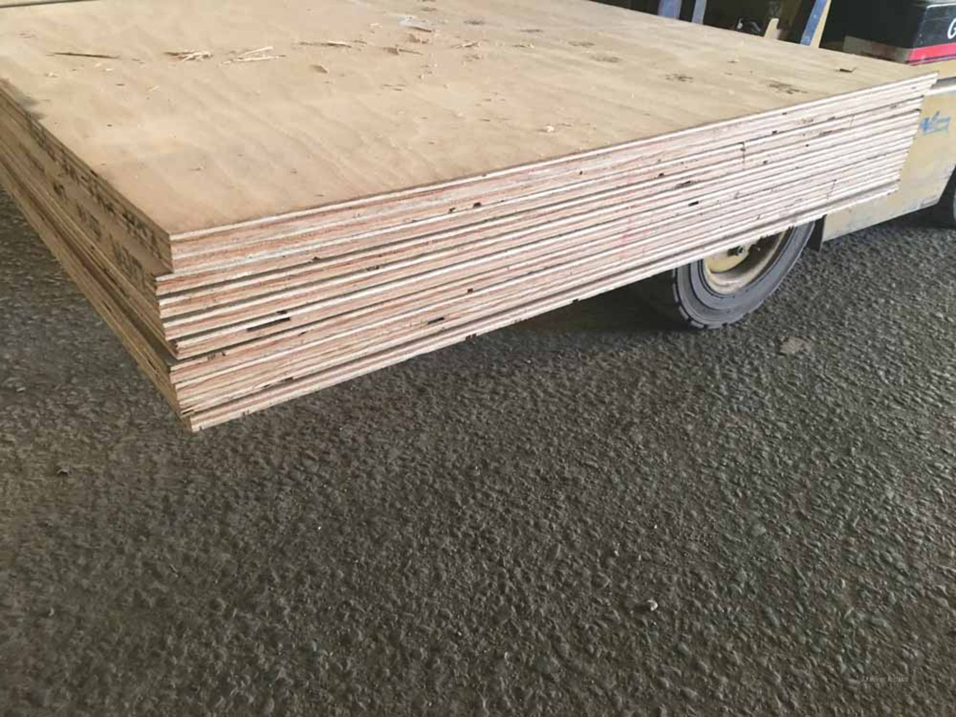 4'x8'x3/4" Thick AC Pine Plywood Boards - Image 5 of 6