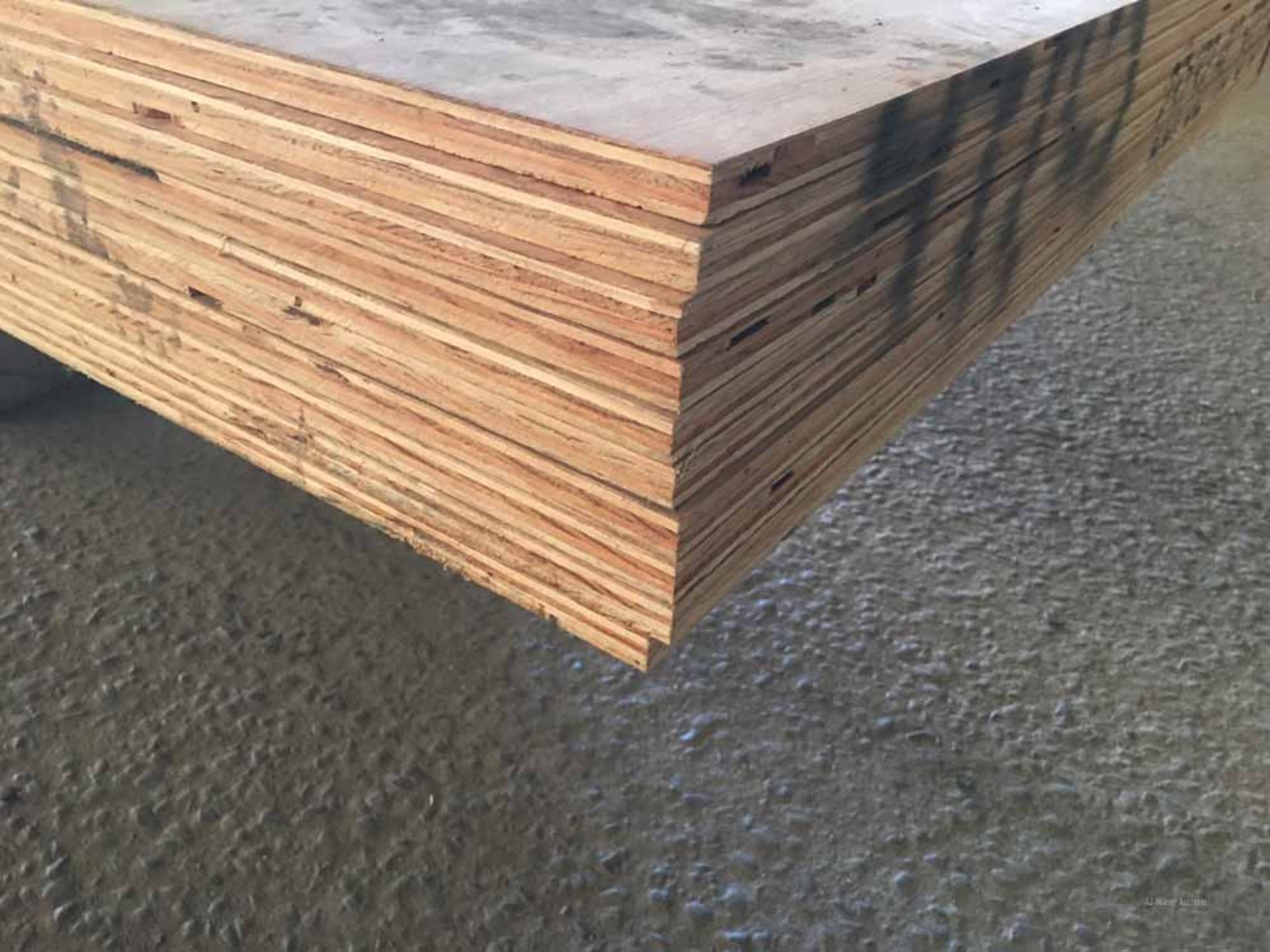4'x8'x3/4" Thick AC Pine Plywood Boards - Image 4 of 6