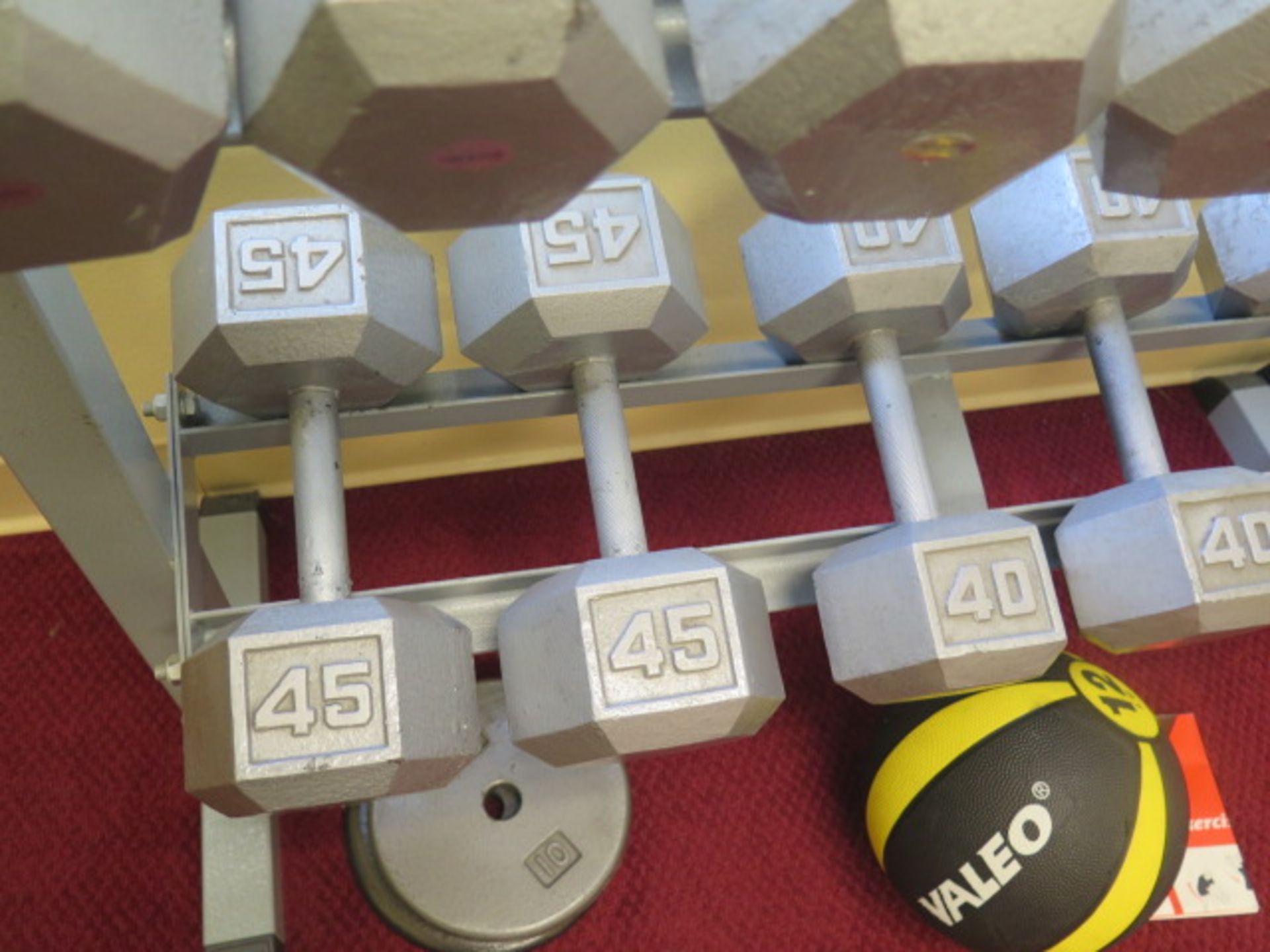 Dumbbell Set w/ Stand - Image 5 of 6