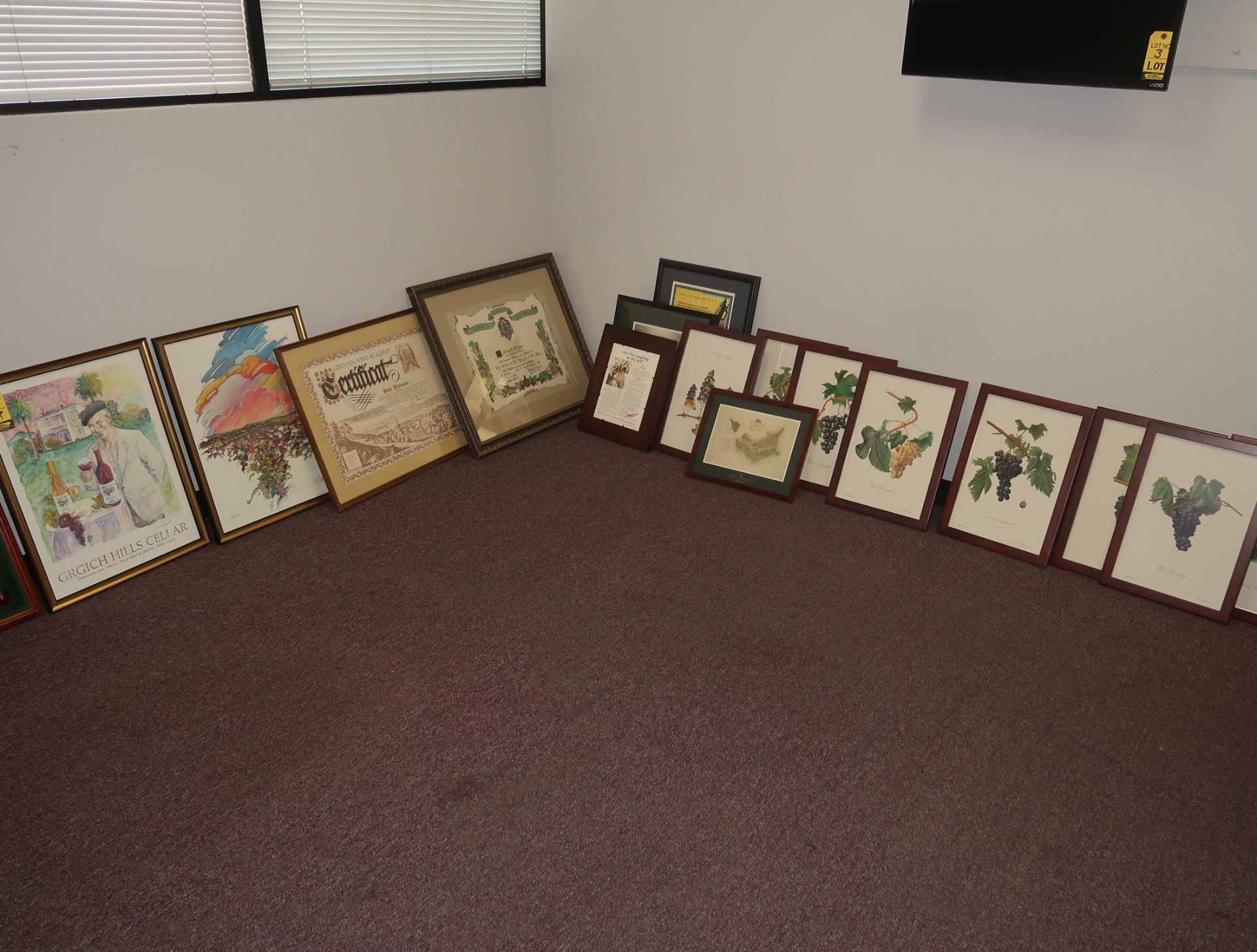 LOT FRAMED PRINTS, GRAPES, VINYARDS, ETC.