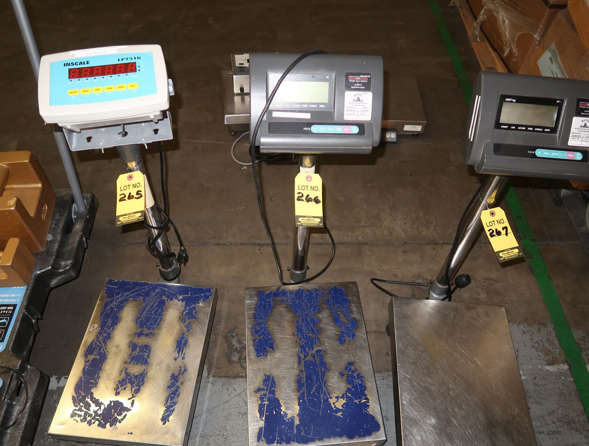 DIGIWEIGH BENCH MDL. SCALE