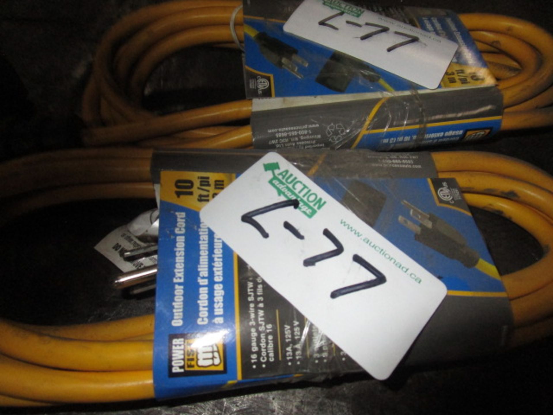 2 - 10' Outdoor Extension Cords