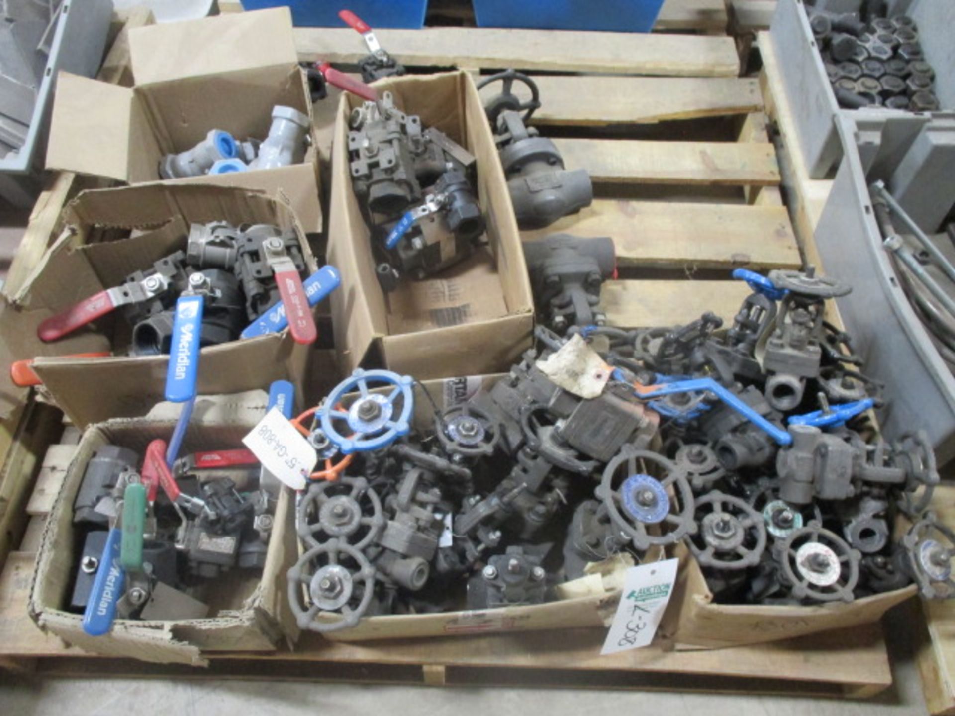 Skid lot of Misc Gate Valves