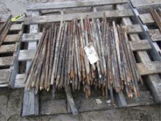 (115) 2' Nail Stakes