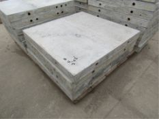 (4) 24" x 2' Wall-Ties Cap Concrete Forms, Smooth 6-12 Hole Pattern