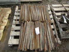 (200) Steel Nail Stakes