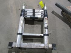 Aluminum Telescopic Ladder