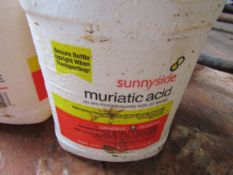 (3) Sunnyside Muriatic Acid, 1 gallon each