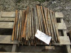 (90) Steel Nail Stakes