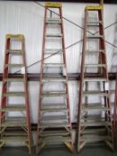 10' Werner Ladder, Located in Hopkinton, IA