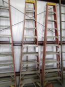 10' Werner Ladder, Located in Hopkinton, IA