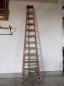 12' Werner Step Ladder