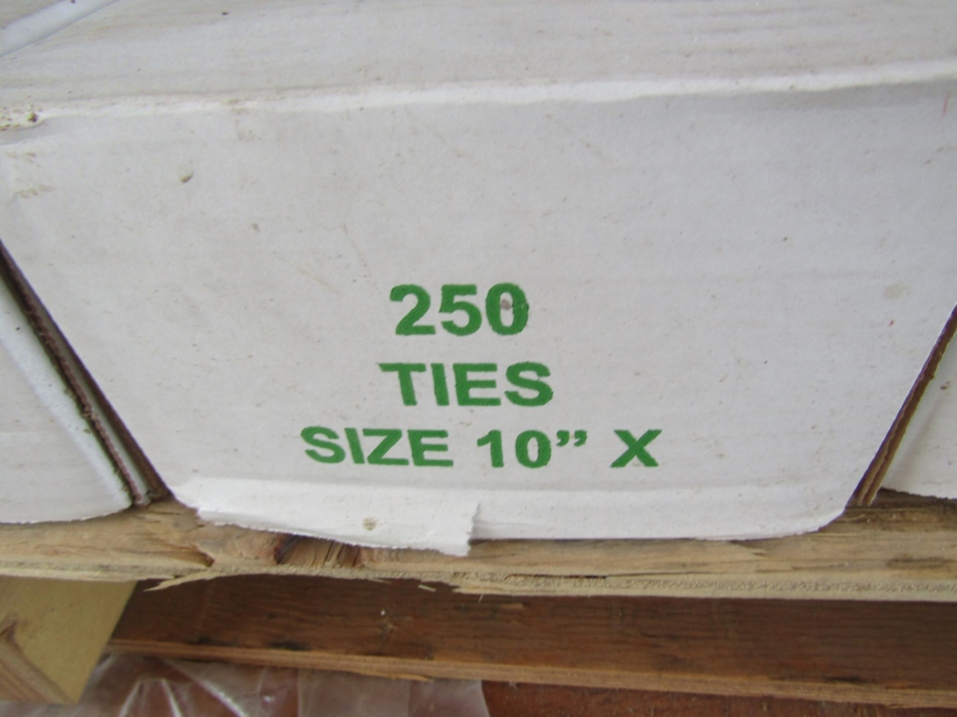 (21) Boxes Advance Concrete Form 10" Ties - Image 2 of 2