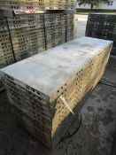 (13) 24" x 6' Western Elite Concrete Forms