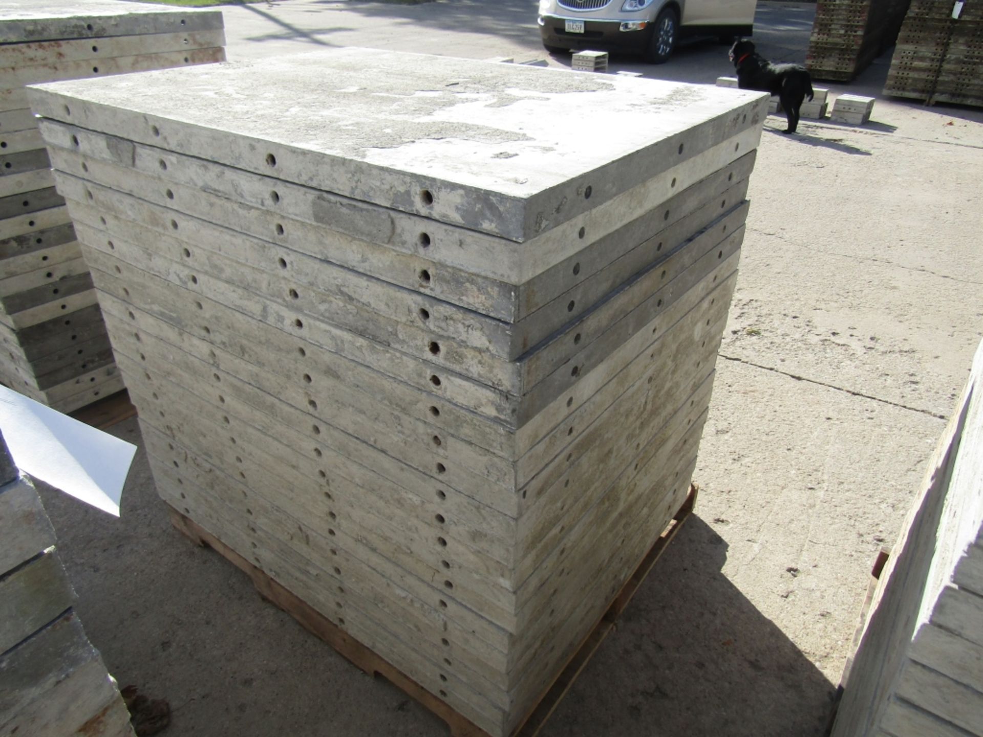 (20) 36" x 4' Durand Concrete Forms, Smooth 6-12 Hole Pattern, Attached Hardware, Located in Mt. - Image 2 of 4