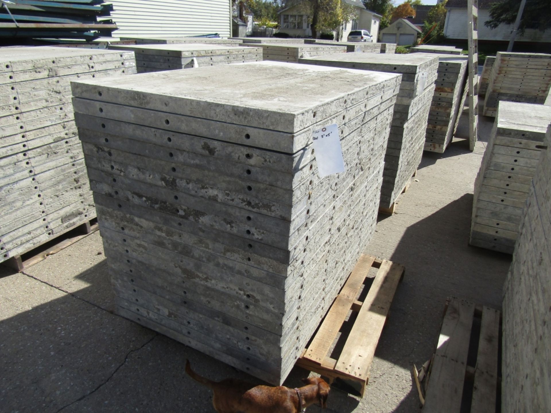 (20) 36" x 5' Durand Concrete Forms, Smooth 6-12 Hole Pattern, Attached Hardware, Located in Mt.