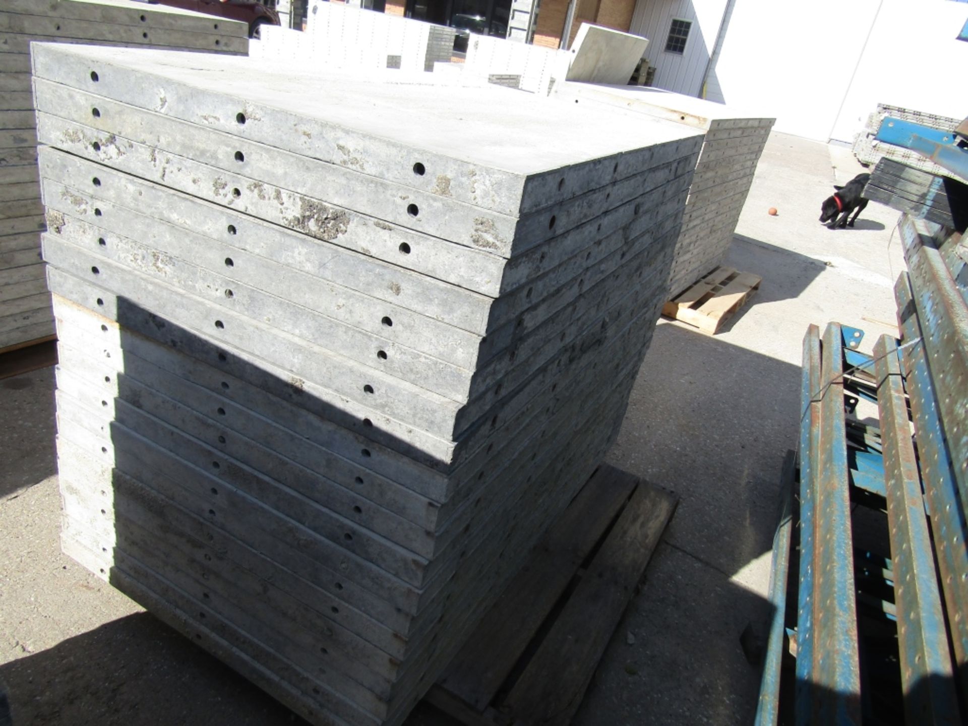 (20) 36" x 5' Durand Concrete Forms, Smooth 6-12 Hole Pattern, Attached Hardware, Located in Mt.