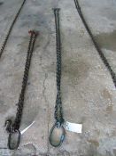 2 Leg 12' Chain with Hooks