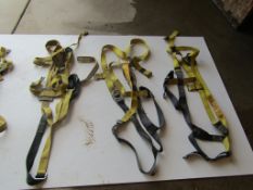 (3) Safety Harnesses