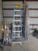 10' Step Ladder