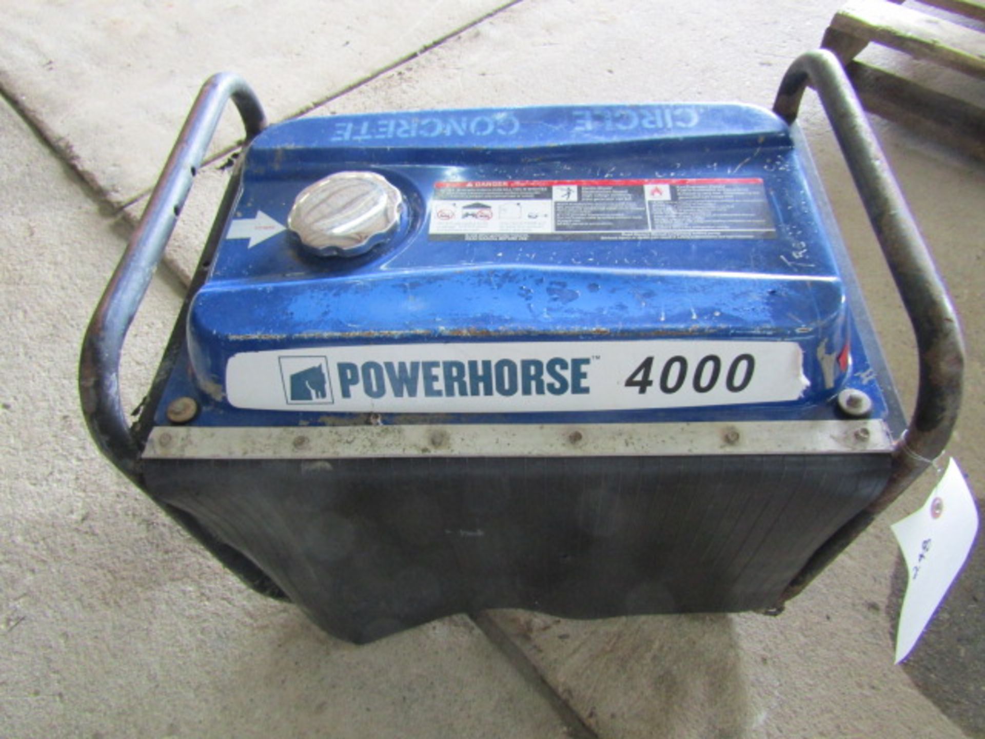 Powerhorse 4000 Generator, 120 Volt,
