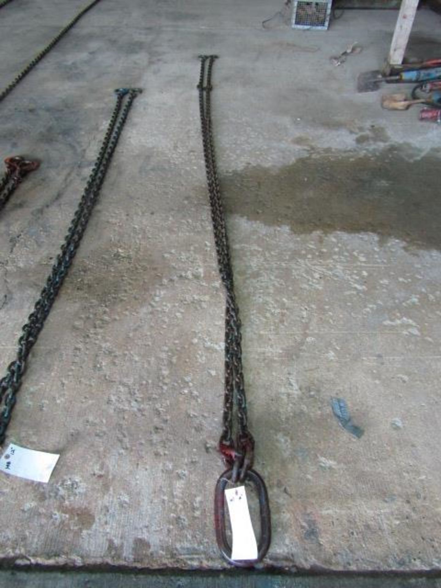 2 Leg 14' Chain with Hooks