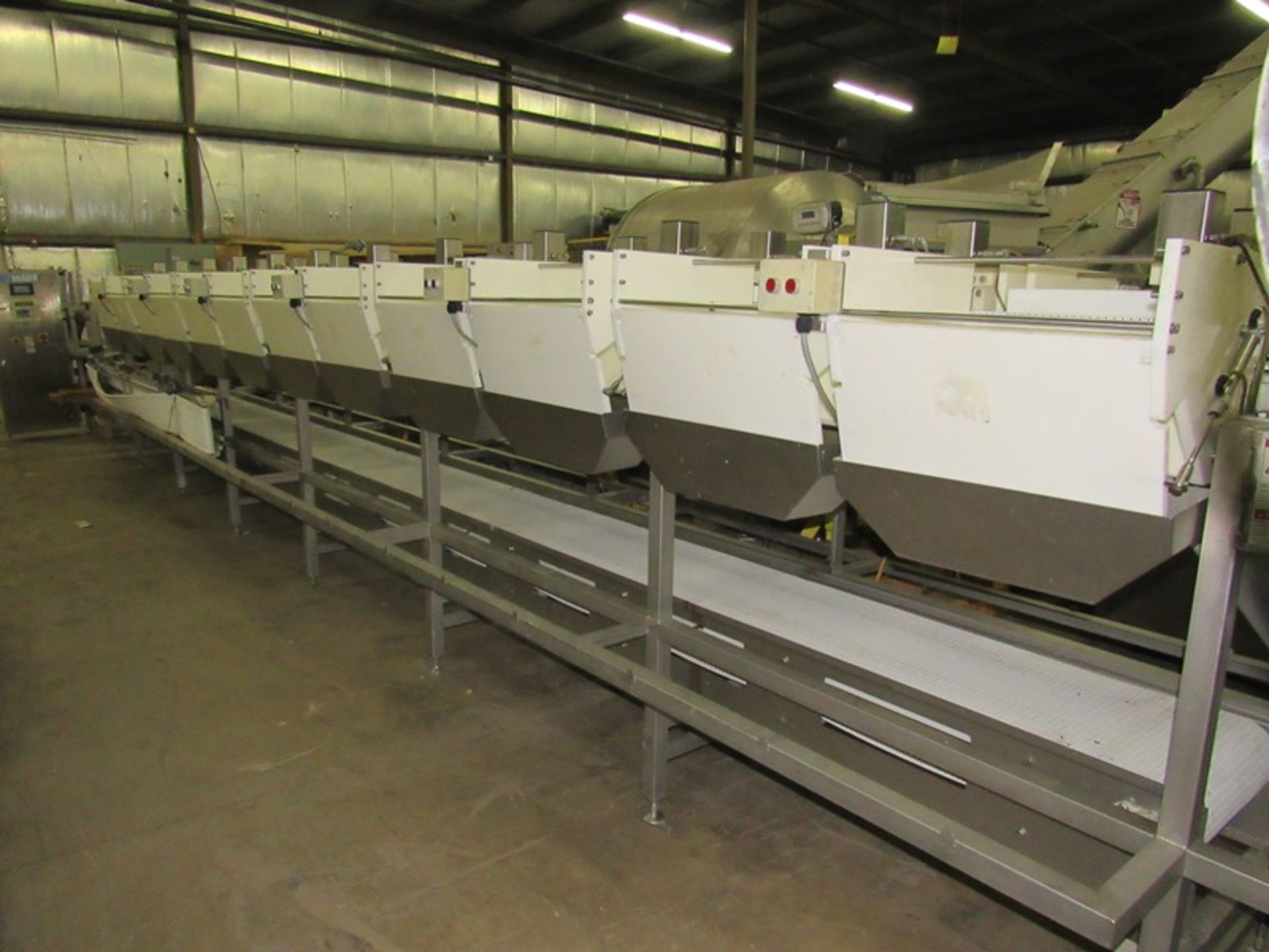 Baader Mdl. BA-1900 Sizing & Batching Conveyor System, (24) grading stations, (12 on each side) on - Image 4 of 19