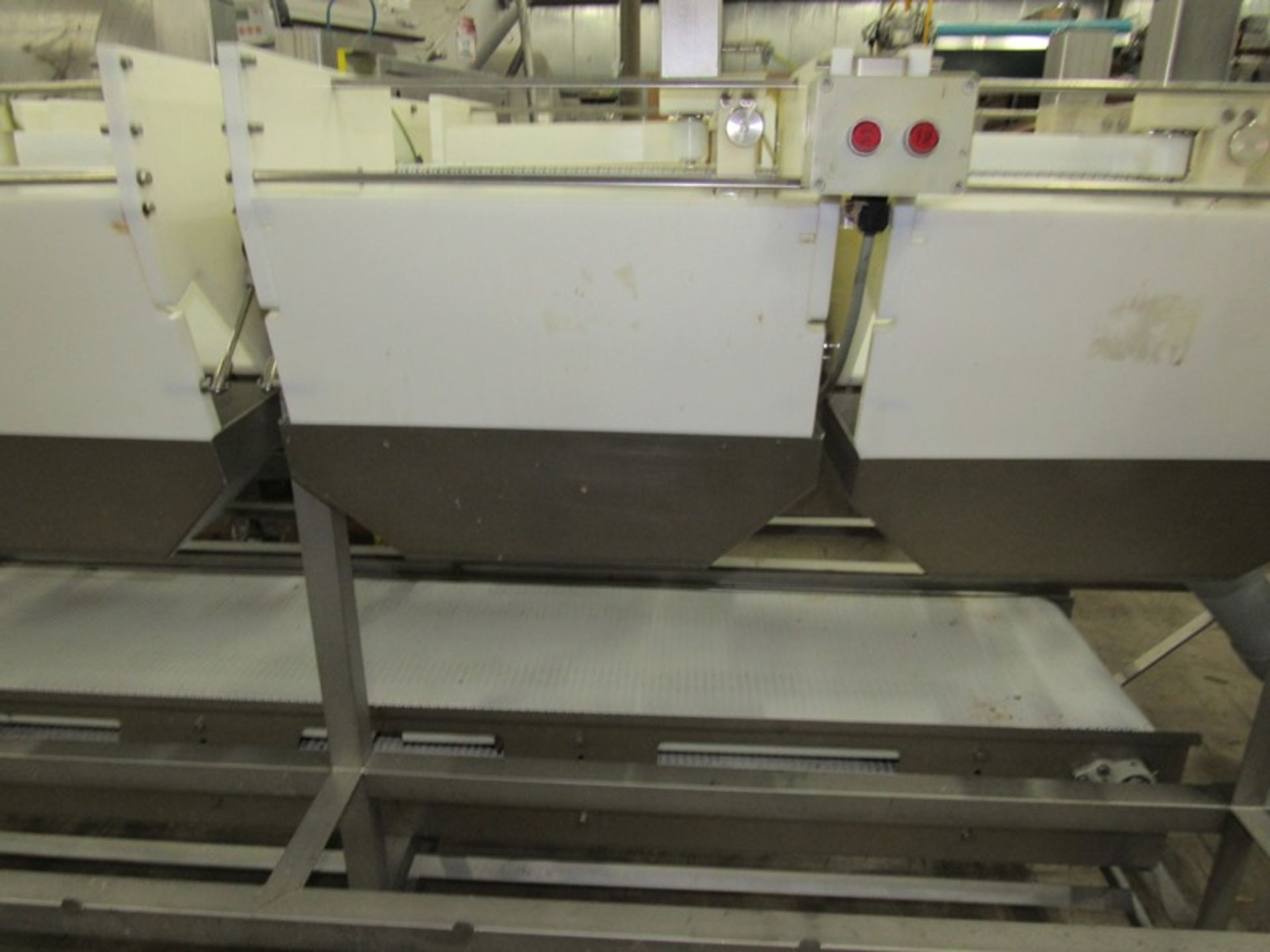 Baader Mdl. BA-1900 Sizing & Batching Conveyor System, (24) grading stations, (12 on each side) on - Image 10 of 19