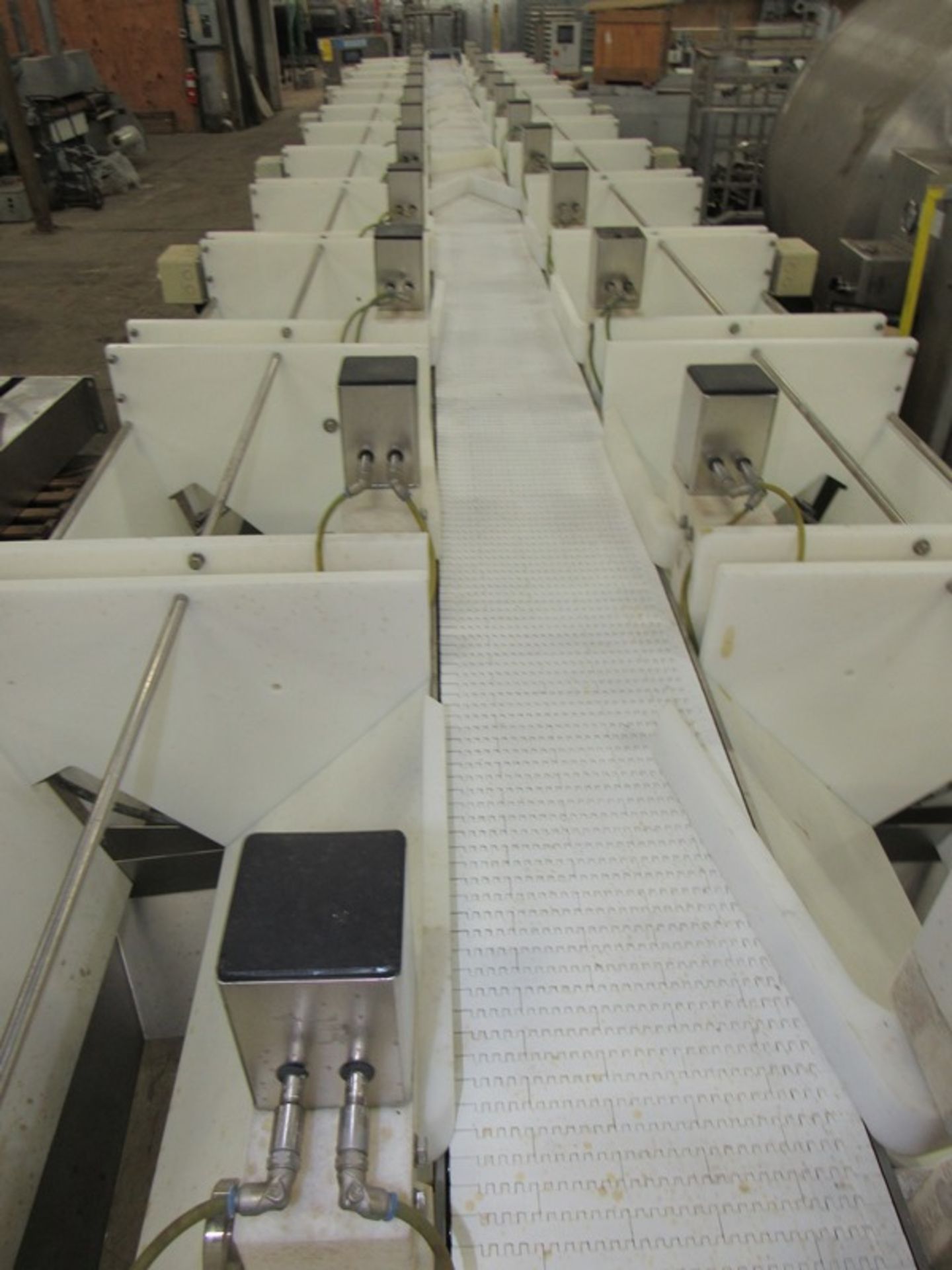 Baader Mdl. BA-1900 Sizing & Batching Conveyor System, (24) grading stations, (12 on each side) on - Image 8 of 19