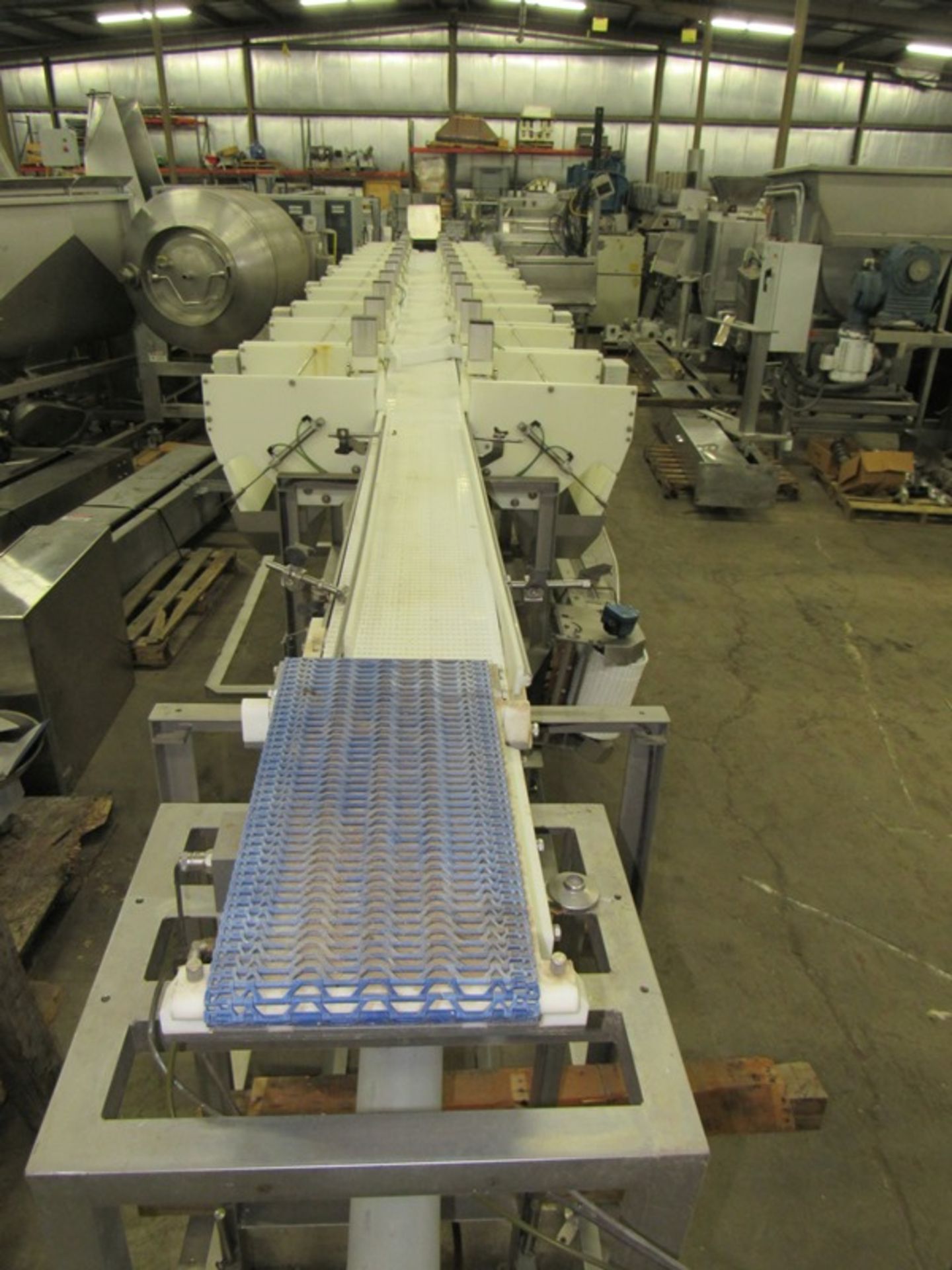 Baader Mdl. BA-1900 Sizing & Batching Conveyor System, (24) grading stations, (12 on each side) on - Image 2 of 19