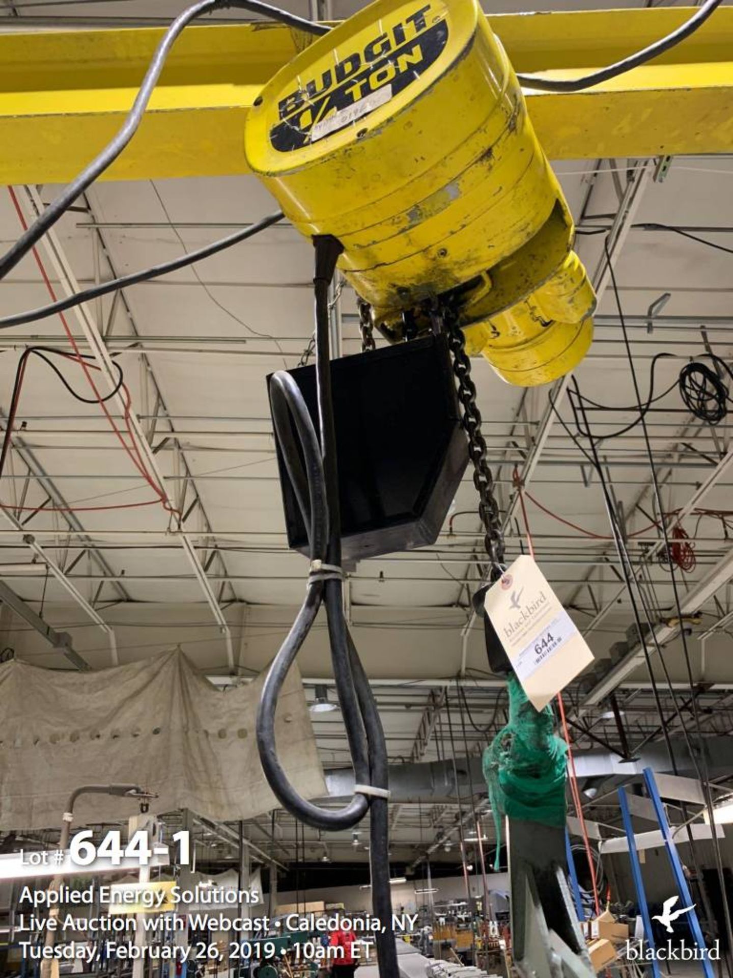 2 Budgit Electric Chain Hoists