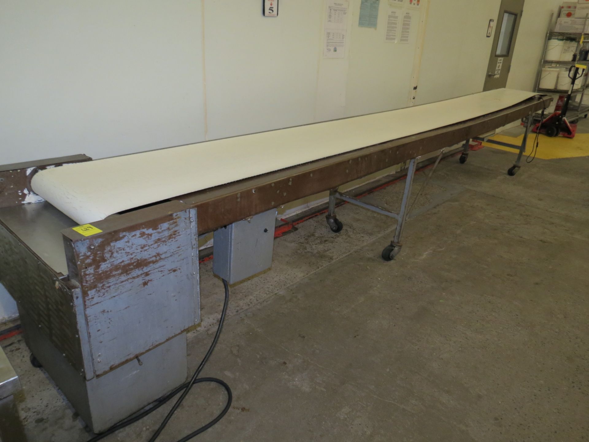 POWER CONVEYOR WITH 22" X 20' BELT