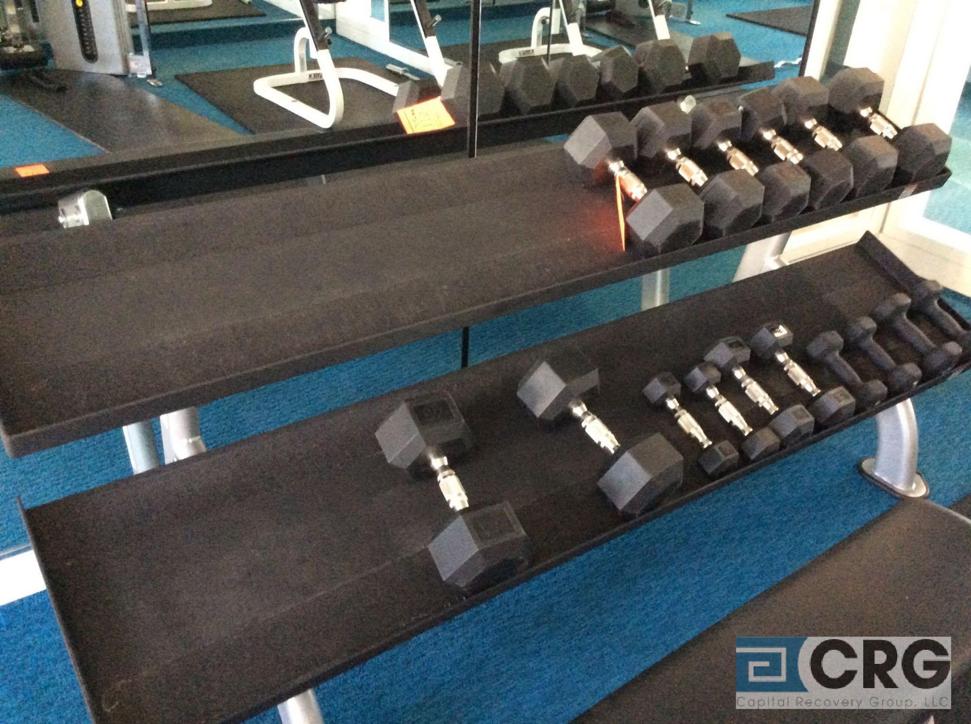 Lot of (27) assorted Cybex Dumbbells with Stands, and (6) asst AB Workout Stands, Stations and - Image 2 of 6