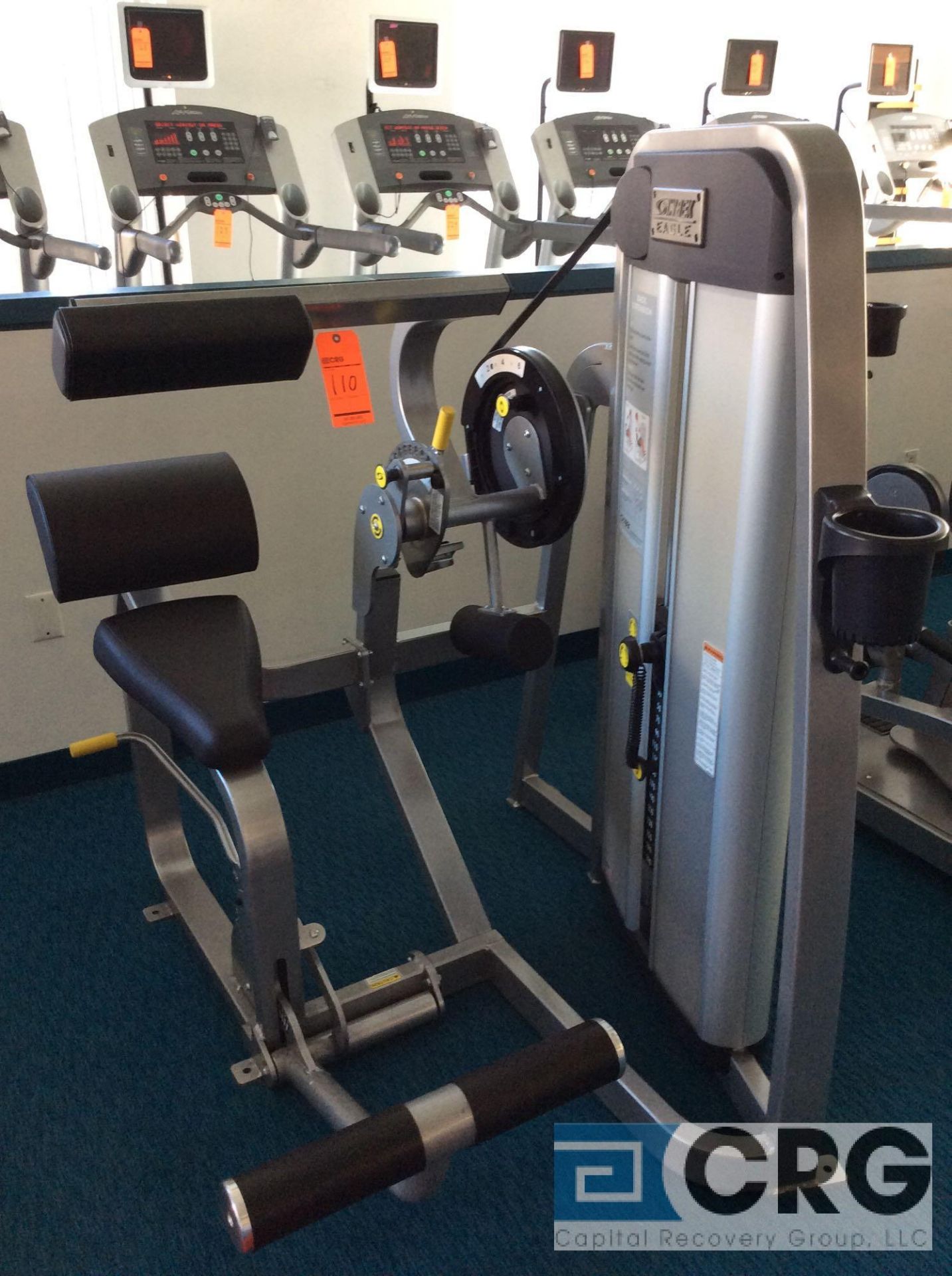 Cybex Eagle Back Extension Machine