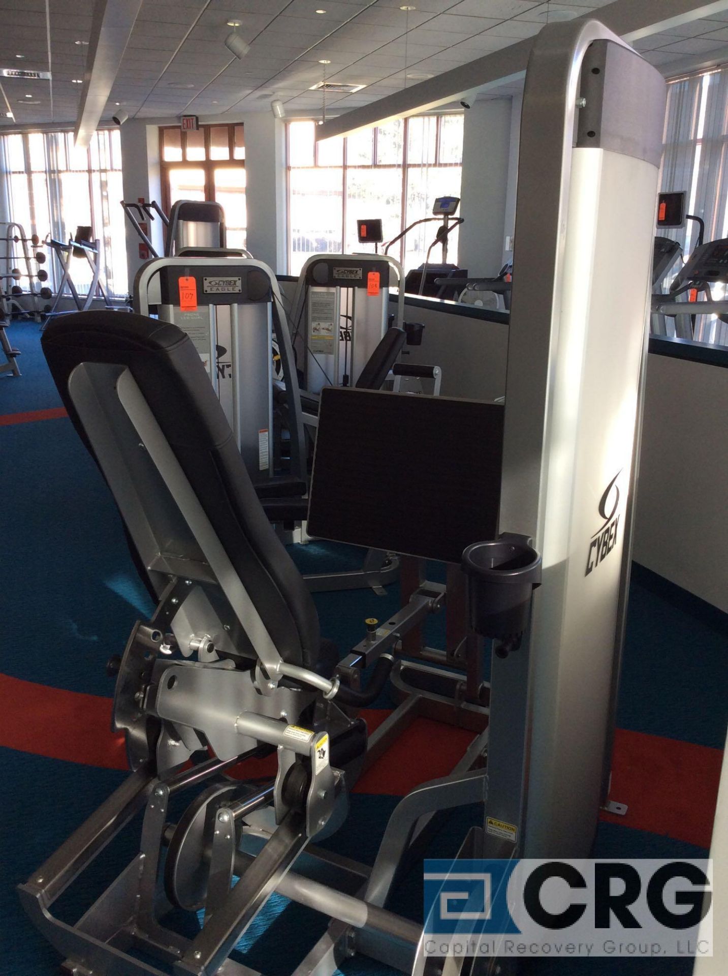 Cybex Eagle Leg Press Machine