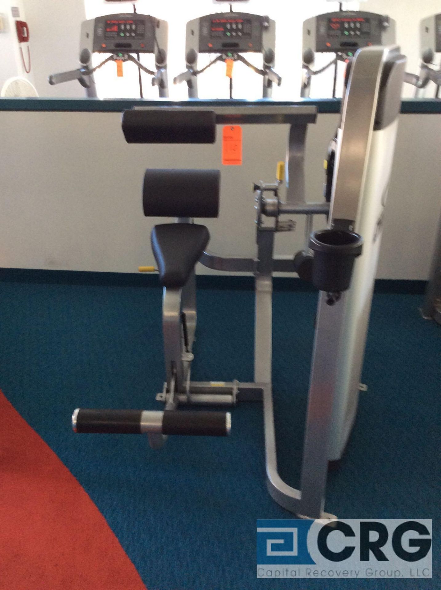 Cybex Eagle Back Extension Machine - Image 2 of 3