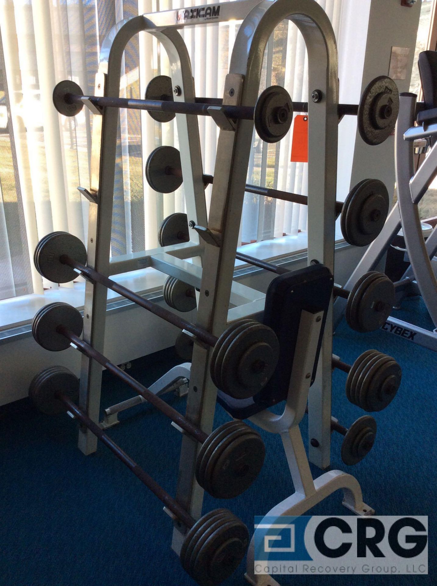 Lot of Maxicam Barbells and Weights with (9) Assorted Weight Bars, aprox 250-lbs of Weights, Stand - Image 2 of 2