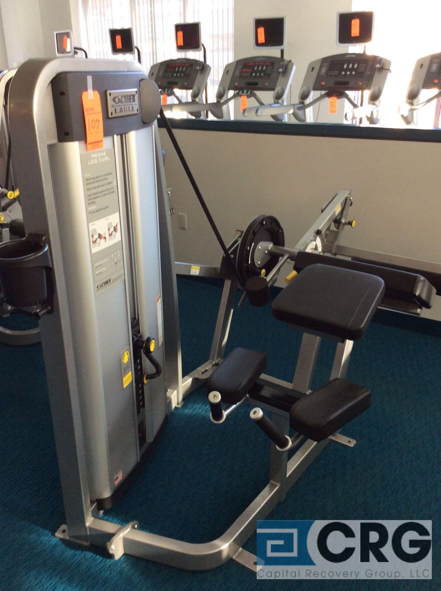 Cybex Eagle Prone Leg Curl Machine