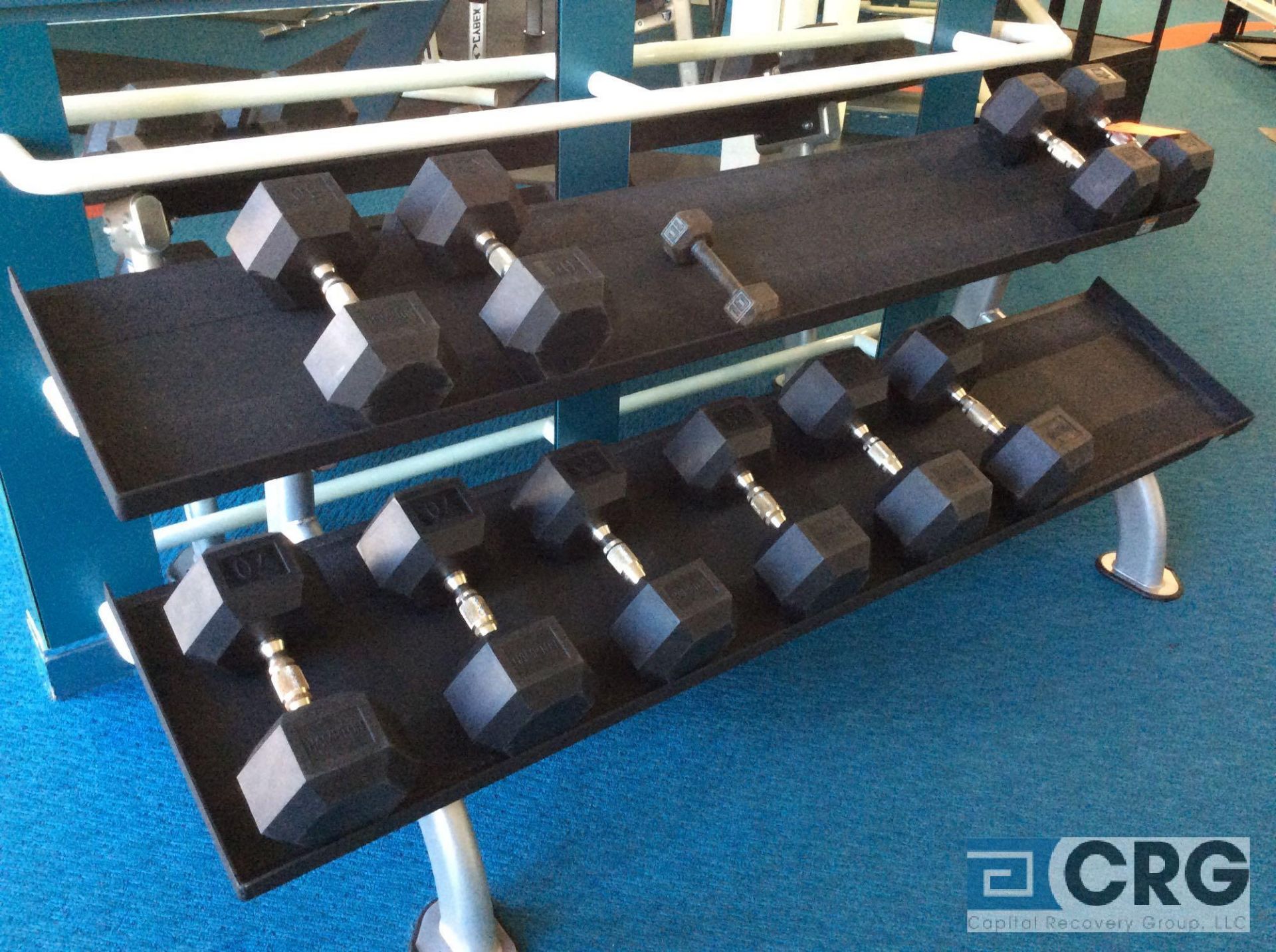 Lot of (27) assorted Cybex Dumbbells with Stands, and (6) asst AB Workout Stands, Stations and