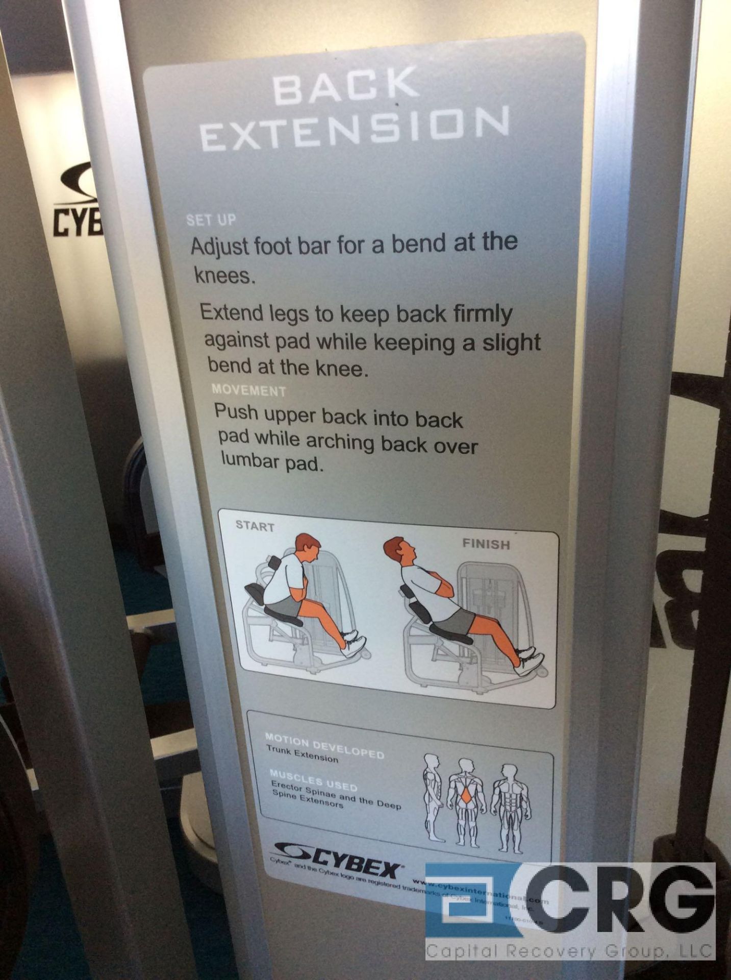 Cybex Eagle Back Extension Machine - Image 3 of 3