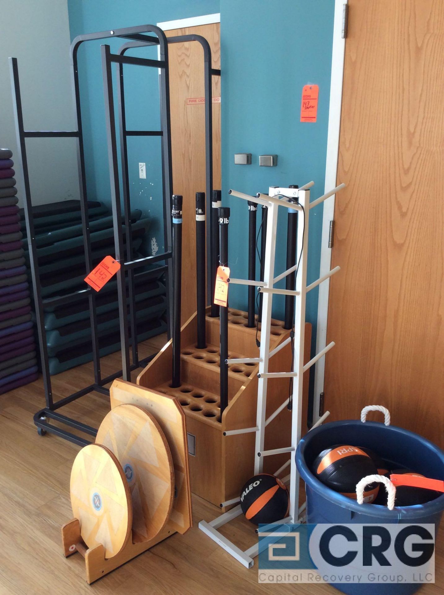 Lot of Assorted Exercise Equipment Including: Mats, Step Platforms, Dumbbells, Medicine Balls, Rope, - Image 4 of 7