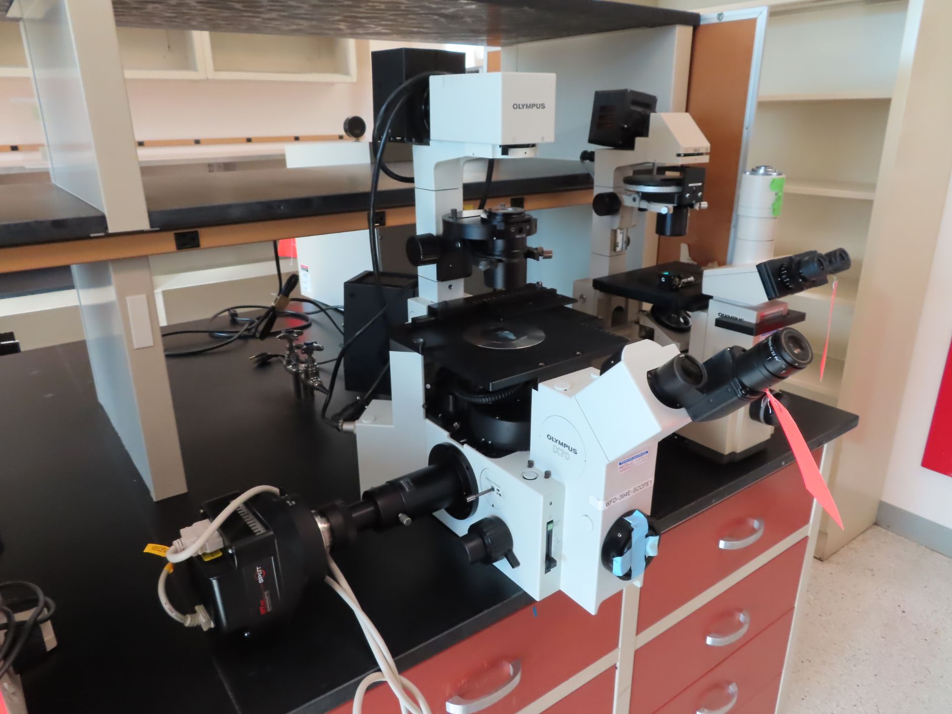 Olympus IX70 inverted Inverted Fluorescence Research microscope with camera and light source,