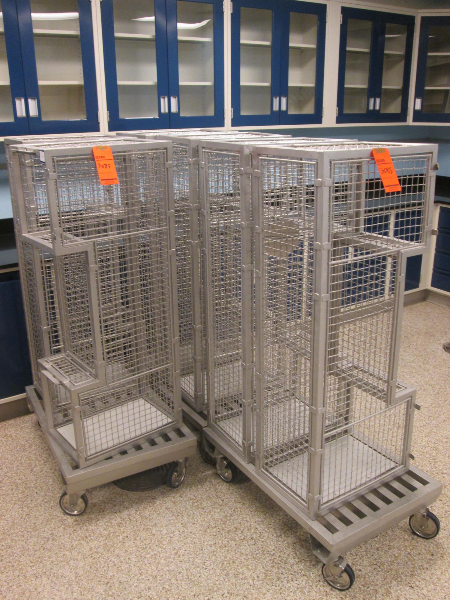 Lot of assorted SS transport carts and cages, etc. - Image 2 of 5