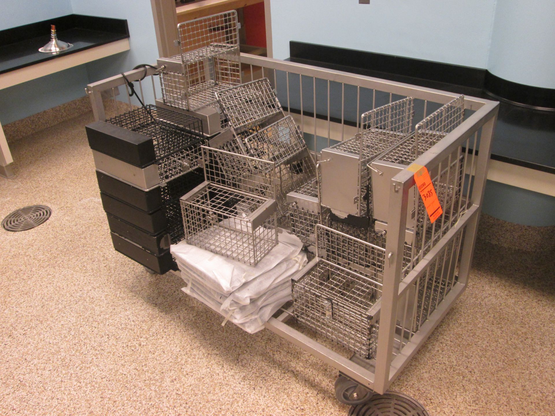 Lot of assorted SS transport carts and cages, etc. - Image 4 of 5